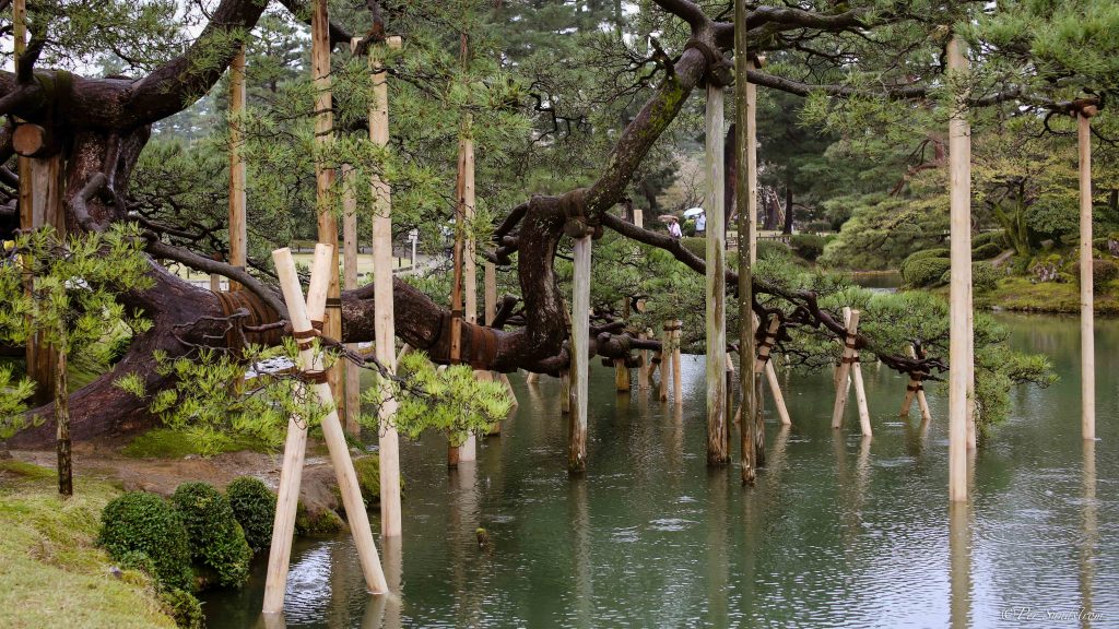 Japansk park, Kenroku-en i staden Kanazawa i prefekturen Ishikawa, Japan. 