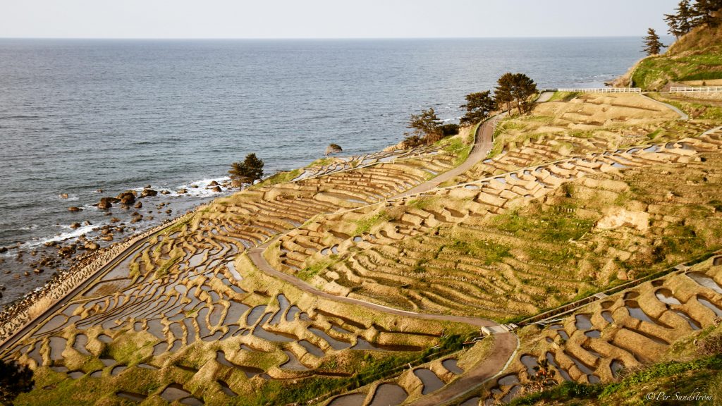 Senmaida, risfält i form av terrassodling, Japan, halvön Noto. Ishikawa, Noto peninsula