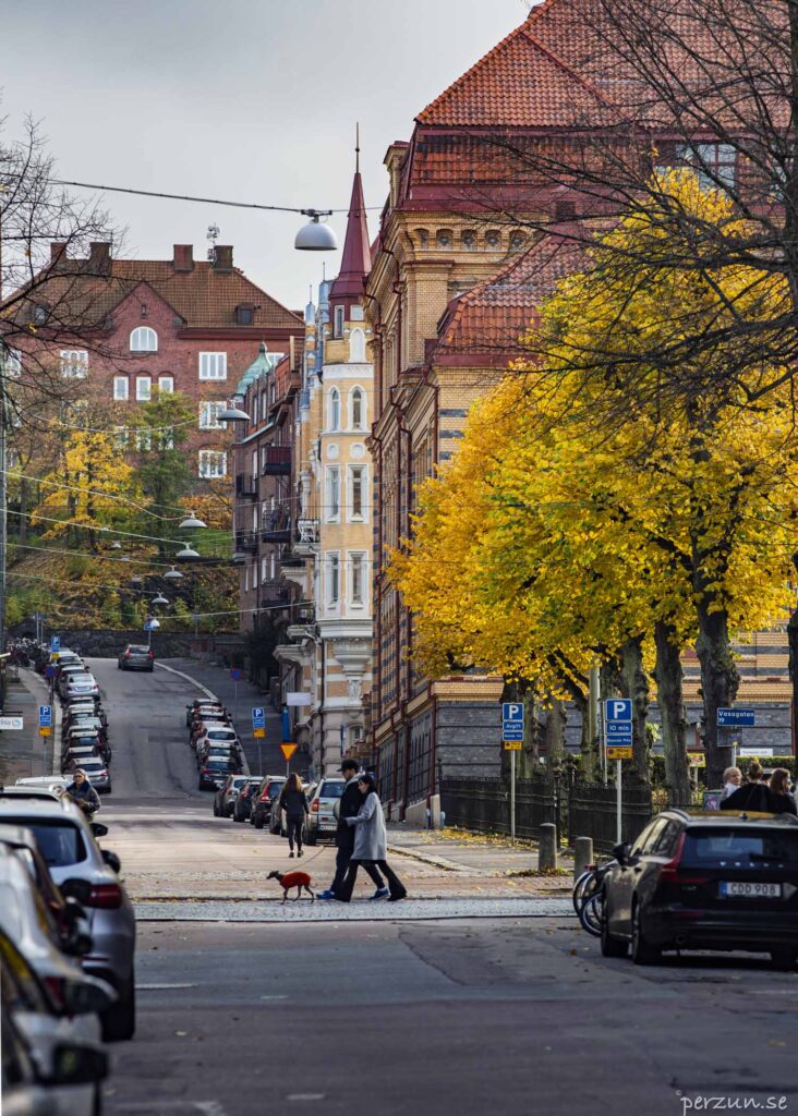 Göteborg enligt stadsplanen 1866